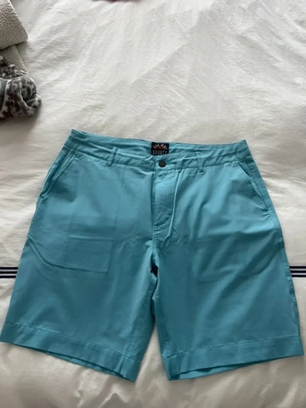 Faherty All Day Shorts Blue Size: 34